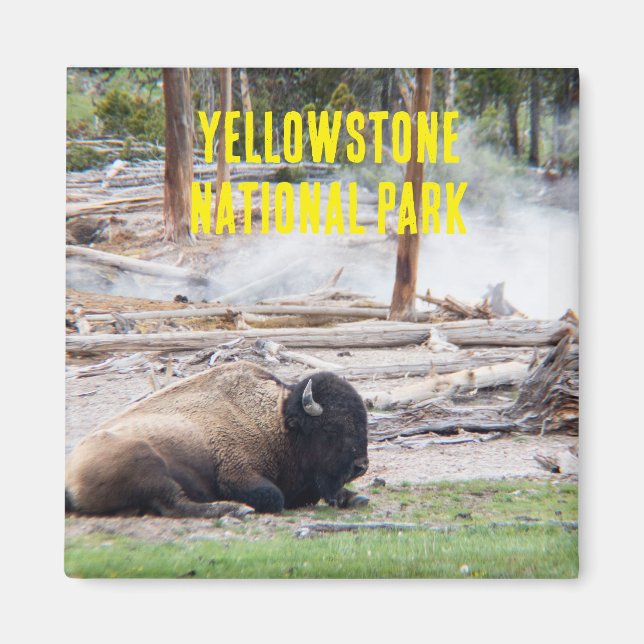 Imã Yellowstone National Park Bison Magnet (Frente)