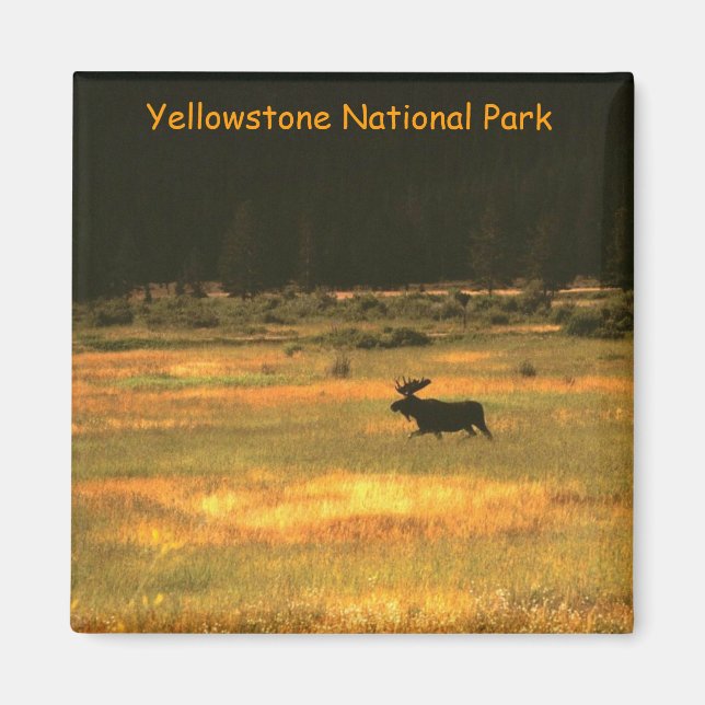 Imã Yellowstone National Park Bull Mose Magnet (Frente)