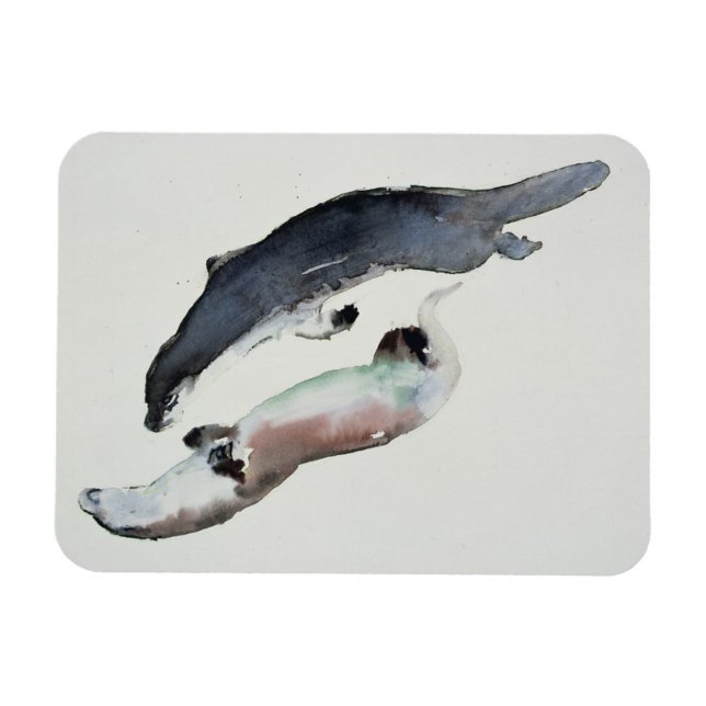 Ímã Yin Yang (Horizontal)