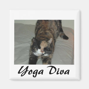 Imã Yoga Cat