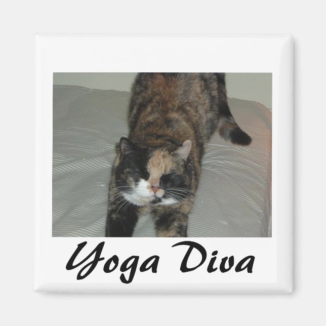 Imã Yoga Cat (Frente)