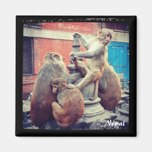Imã Yoga master, Swayambhunath, Katmandu - Nepal