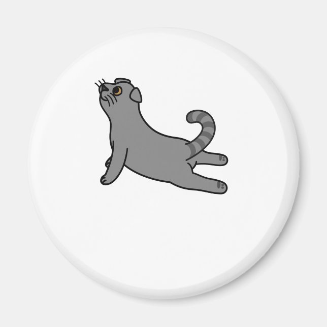 Imã Yoga Pose Scottish Fold Cat (Frente)