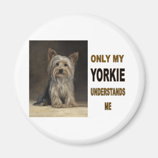 IMÃ YORKIE
