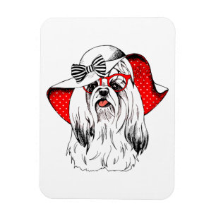 Ímã Yorkie Fashion Shoot