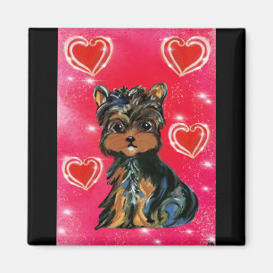Imã Yorkie Poo no Dia de São Valentim