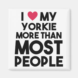 Imã Yorkie sobre pessoas