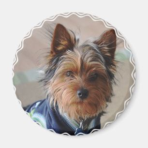 Imã Yorkie Terrier Magnet