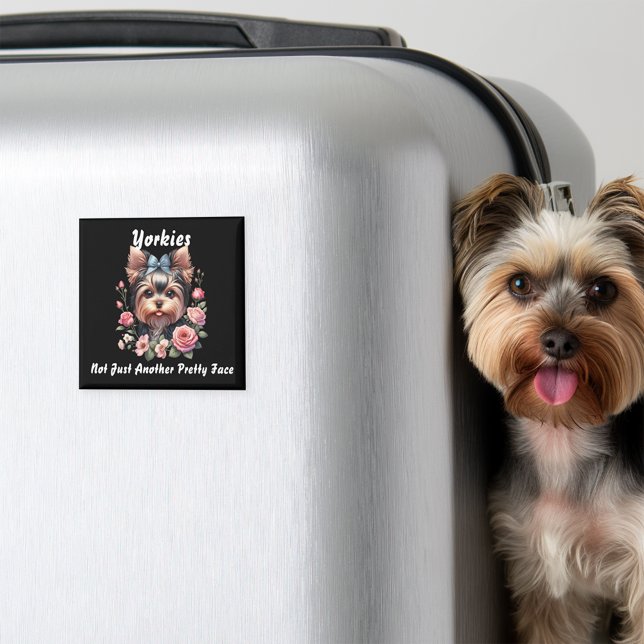 Imã Yorkies, não apenas mais um rosto Bonito (Criador carregado)