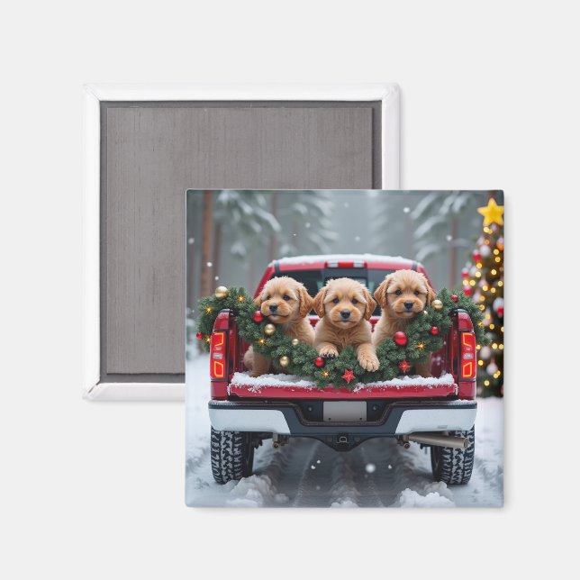Imã Yorkipoo Christmas Red Truck Holiday Gift (Front/Back)