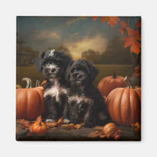 Imã Yorkipoo Puppy Autumn Delight Pumpkin