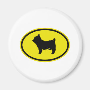 Imã Yorkshire terrier