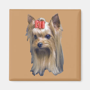 Imã Yorkshire terrier