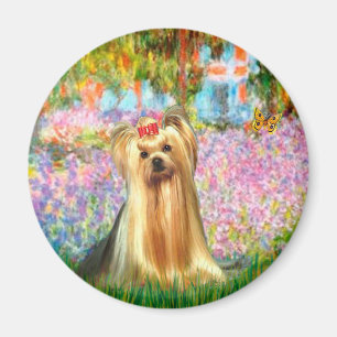 Imã Yorkshire Terrier 1 - Jardim