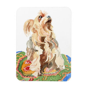 Ímã Yorkshire terrier 2012