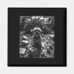 Imã Yorkshire Terrier de Natal Flagrou na Câmera