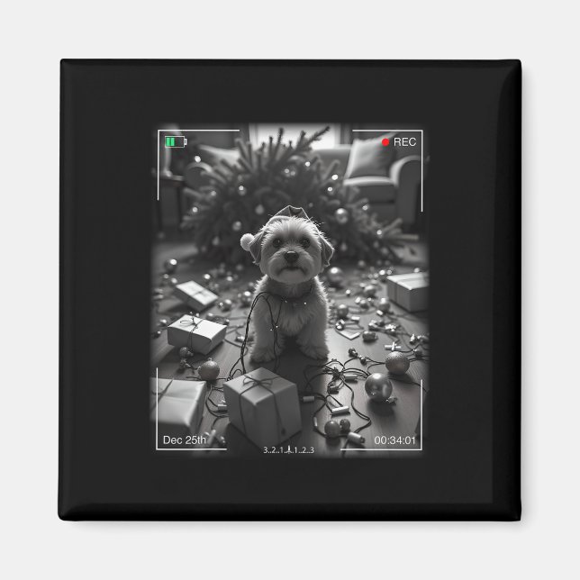 Imã Yorkshire Terrier de Natal Flagrou na Câmera  (Frente)