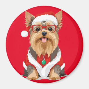 Imã Yorkshire Terrier em Papais noeis Costume Adorável