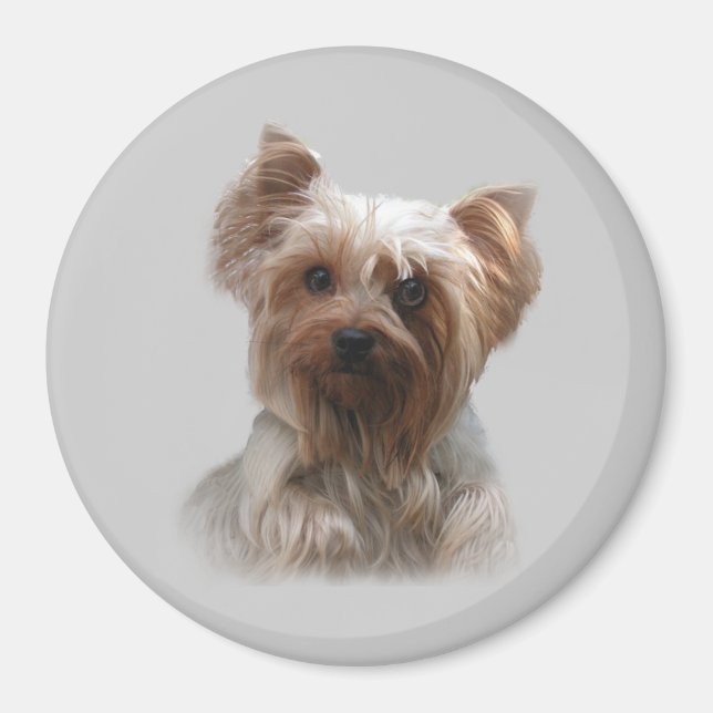 Imã Yorkshire Terrier Magnet (Frente)