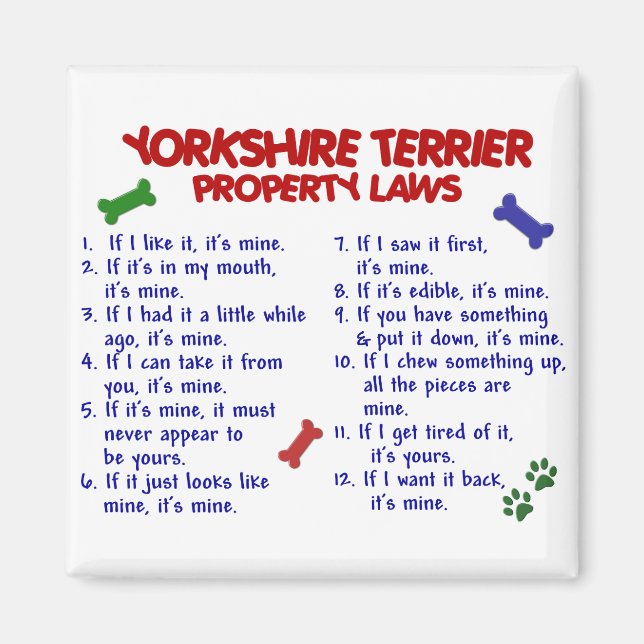 Imã YORKSHIRE TERRIER Property Laws 2 Yorkie (Frente)