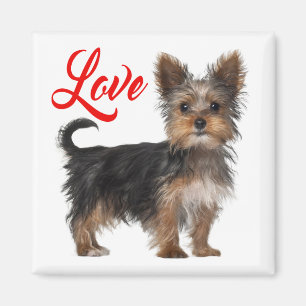 Imã Yorkshire Terrier Puppy Dog Red Love