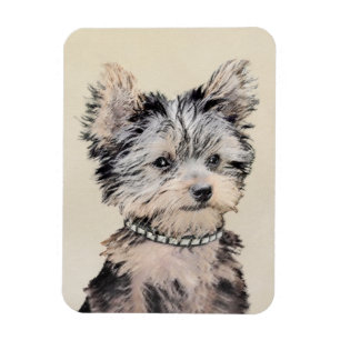 Ímã Yorkshire Terrier Puppy Pintura Original