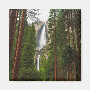Imã Yosemite Falls através da Floresta