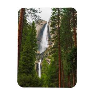 Ímã Yosemite Falls através da Floresta