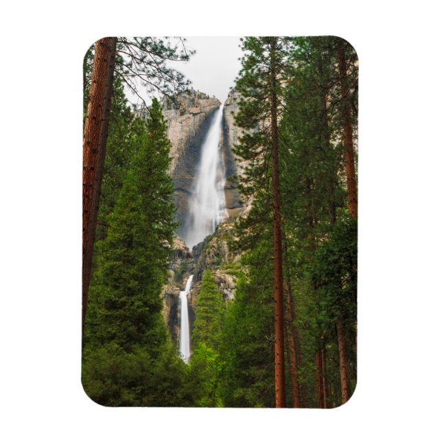 Ímã Yosemite Falls através da Floresta (Vertical)