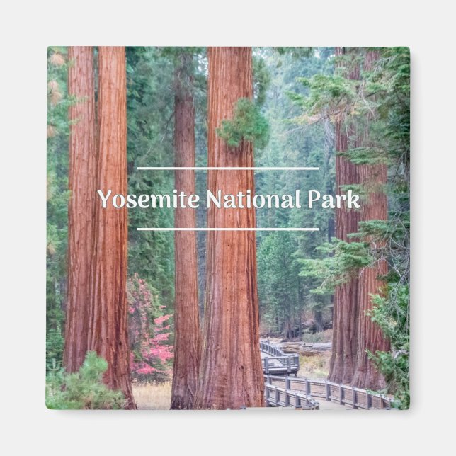 Imã Yosemite National Park Magnet (Frente)