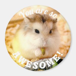 Imã You Are So Awesome Cute Hamster