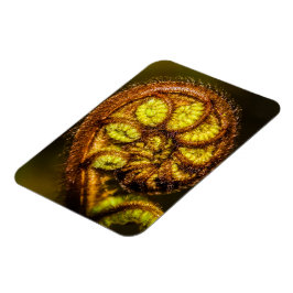 Ímã Young Fern Folaves