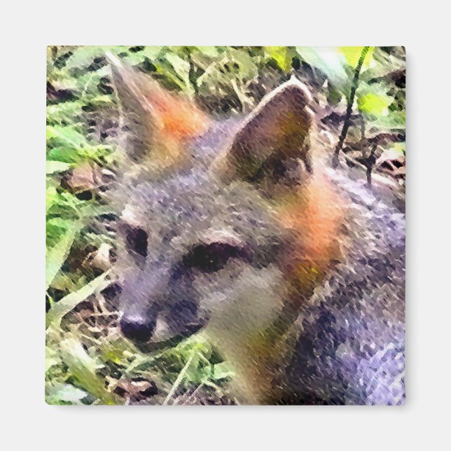 IMÃ YOUNG FOX (Frente)