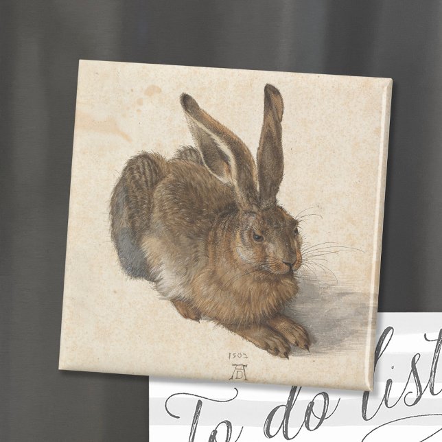 Imã Young Hare | Albrecht Dürer (Criador carregado)