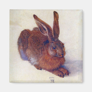 Imã Young Hare de Albrecht Durer, Renaissance Fine Art