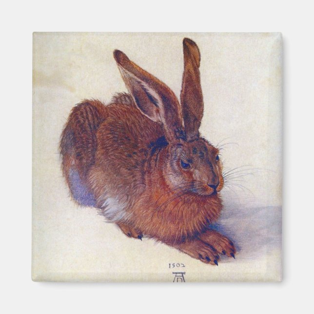 Imã Young Hare de Albrecht Durer, Renaissance Fine Art (Frente)