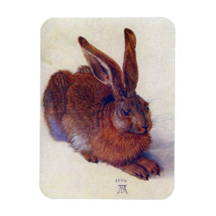 Ímã Young Hare de Albrecht Durer, Renaissance Fine Art