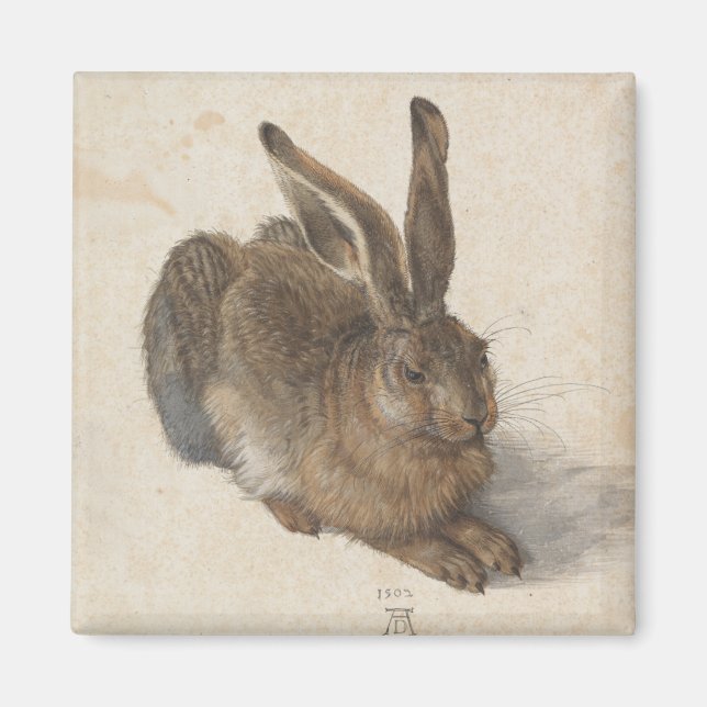 Imã Young Hare por Albrecht Durer (Frente)