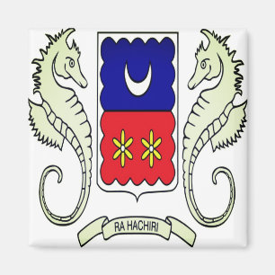 Imã YT - Mayotte - Sinalizador