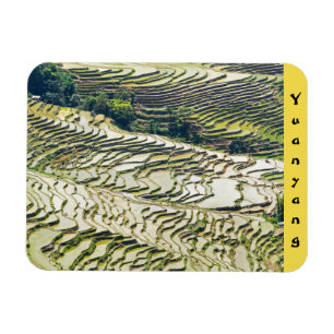 Ímã Yuanyang Rice Terraces, Yunnan - China