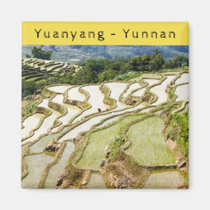 Imã Yuanyang Rice Terraces, Yunnan - China
