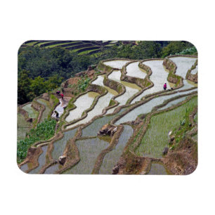 Ímã Yuanyang Rice Terraces, Yunnan - China