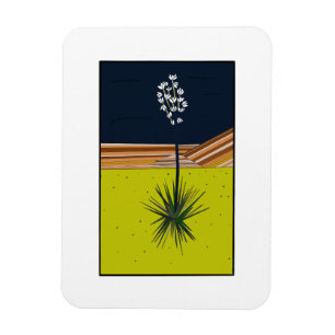 ÍMÃ YUCCA