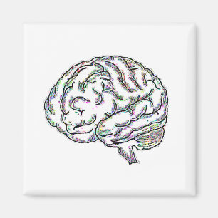 Imã Zany Brainy