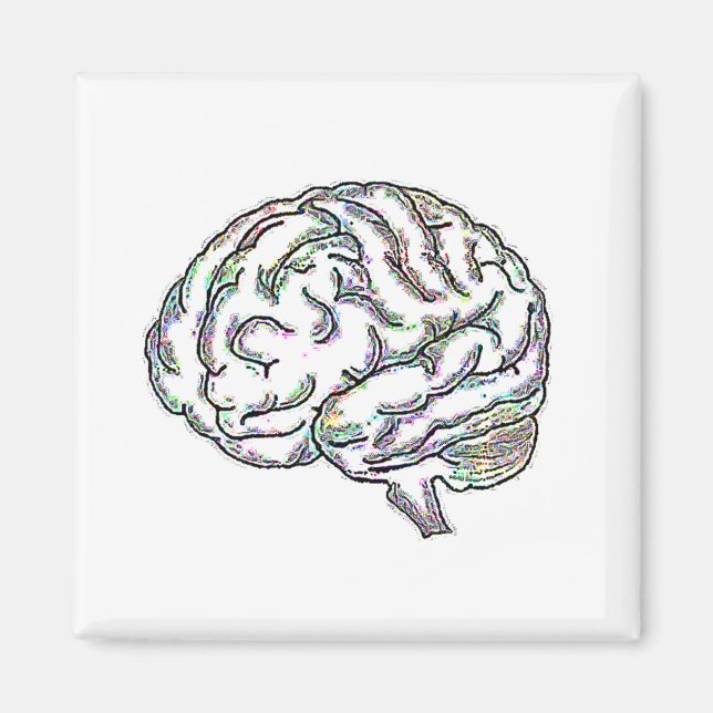 Imã Zany Brainy (Frente)