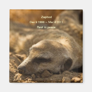 Imã Zaphod_Rest no ímã da paz