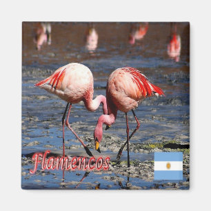 Imã zAR033 ARGENTINA, Puna Flamingos, America, Fridge