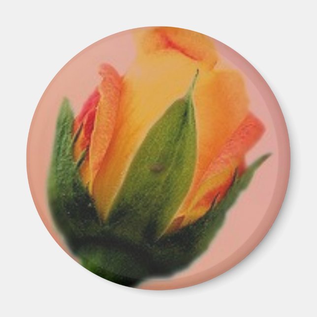 Imã zazzé rosa (Frente)