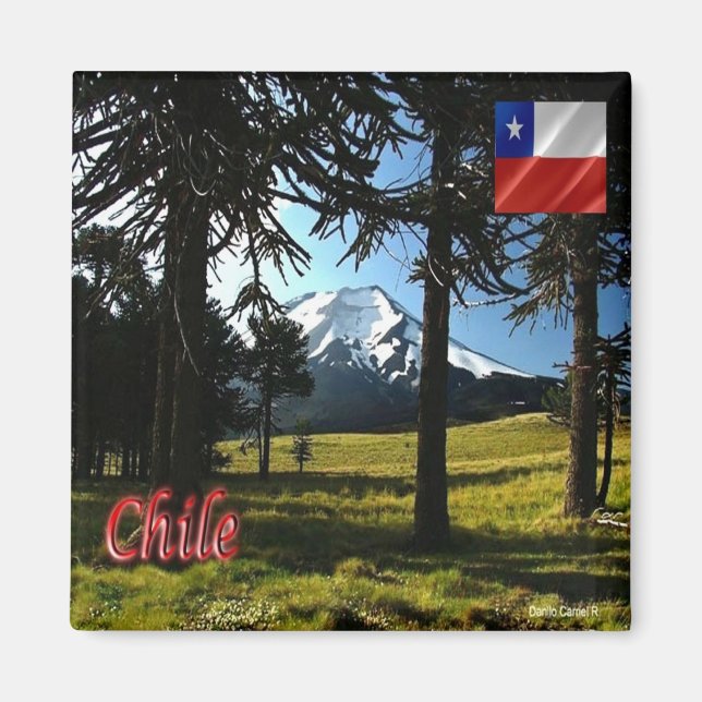 Imã zCL026 CHILE, Araucarias, Monumento Natural, Frigo (Frente)