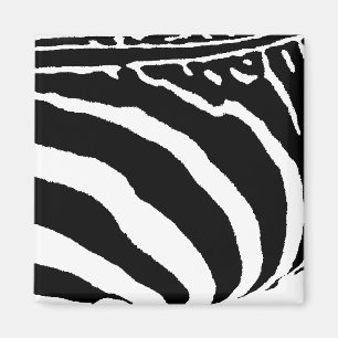 Imã zebra